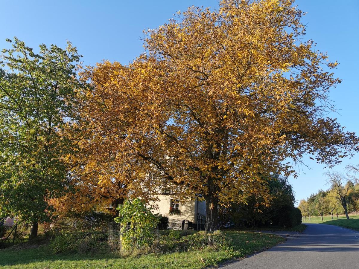 Ferienwohnung "Am Saalehaken" Gossitz Exterior foto
